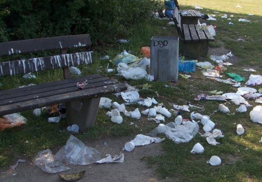 Immer mehr Müll bleibt in den Grünanlagen und Parks des Bezirks liegen. Foto: BACW