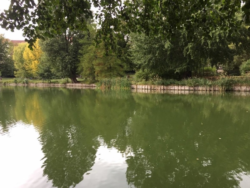 Lietzensee mit denkmalgeschtzter Uferbefestigung. Foto: Umwelt- und Naturschutzamt CW, 2020