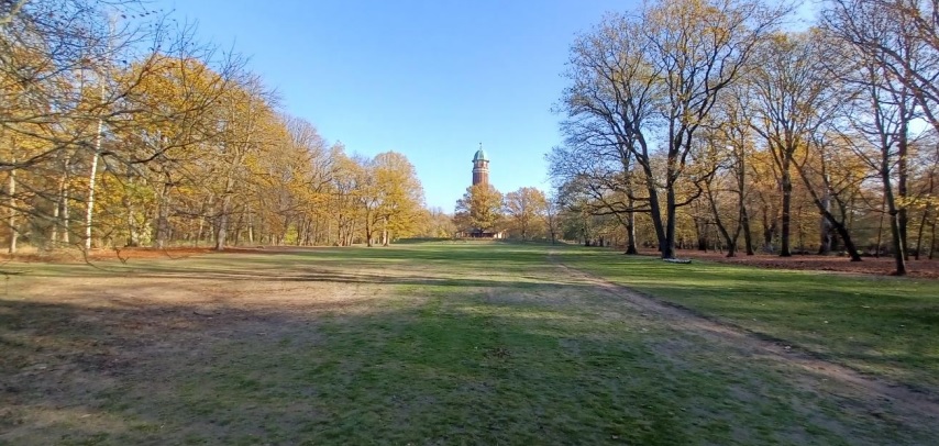 Manahmen zur Regeneration und Vitalisierung der Wiesenflche im Volkspark Jungfernheide werden durchgefhrt. Bild: BACW